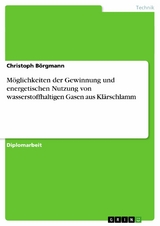 Möglichkeiten der Gewinnung und energetischen Nutzung von wasserstoffhaltigen Gasen aus Klärschlamm - Christoph Börgmann