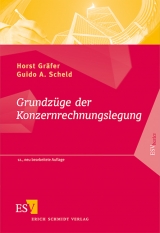 Grundzüge der Konzernrechnungslegung - Horst Gräfer, Guido A. Scheld