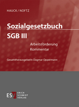 Sozialgesetzbuch (SGB). Kommentar / Sozialgesetzbuch (SGB) III: Arbeitsförderung - Abonnement Pflichtfortsetzung für mindestens 12 Monate - Andrea Bindig, Renate Daumann, Dietrich Hengelhaupt, Martin Kühl, Hans Arno Petzold, Olaf Rademacker, Bernhard Scholz, Jutta Siefert, Hinnerk Timme, Leandro Valgolio, Thomas Voelzke