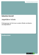 Angstfaktor Schule - Sebastian Karnoll