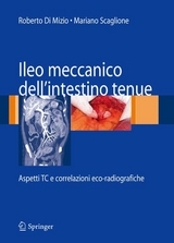 Ileo meccanico dell'intestino tenue - 