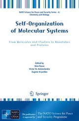 Self-Organization of Molecular Systems - 