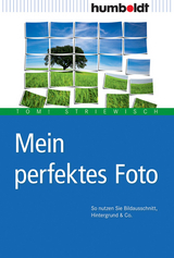 Mein perfektes Foto - Tom! Striewisch