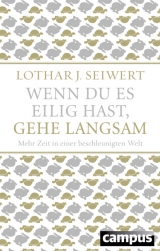 Wenn du es eilig hast, gehe langsam (Sonderausgabe) - Lothar J. Seiwert