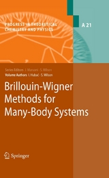 Brillouin-Wigner Methods for Many-Body Systems - Stephen Wilson, Ivan Hubac