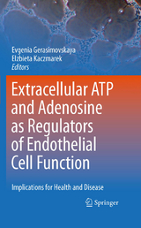 Extracellular ATP and adenosine as regulators of endothelial cell function - 