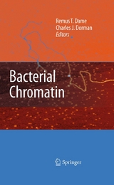 Bacterial Chromatin - 