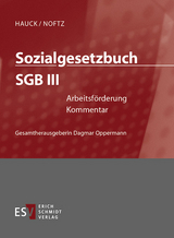 Sozialgesetzbuch (SGB). Kommentar / Sozialgesetzbuch (SGB) III: Arbeitsförderung - Einzelbezug - Andrea Bindig, Renate Daumann, Dietrich Hengelhaupt, Martin Kühl, Hans Arno Petzold, Olaf Rademacker, Bernhard Scholz, Jutta Siefert, Hinnerk Timme, Leandro Valgolio, Thomas Voelzke