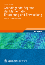 Grundlegende Begriffe der Mathematik: Entstehung und Entwicklung - Horst Hischer