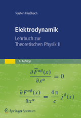 Elektrodynamik - Fließbach, Torsten