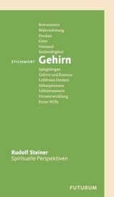 Stichwort Gehirn - Steiner, Rudolf; Gut, Taja