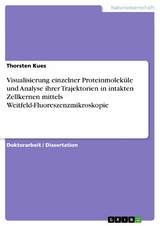 Visualisierung einzelner Proteinmoleküle und Analyse ihrer Trajektorien in intakten Zellkernen mittels Weitfeld-Fluoreszenzmikroskopie - Thorsten Kues