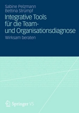 Integrative Tools für die Team- und Organisationsdiagnose - Sabine Pelzmann, Bettina Strümpf