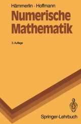 Numerische Mathematik - Hämmerlin, Günther; Hoffmann, Karl H.