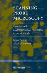 Scanning Probe Microscopy -  Alexei Gruverman,  Sergei V. Kalinin