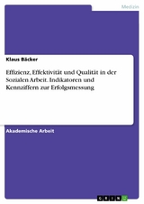 Effizienz, Effektivität und Qualität in der Sozialen Arbeit. Indikatoren und Kennziffern zur Erfolgsmessung - Klaus Bäcker