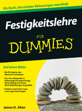 Festigkeitslehre für Dummies - James H. Allen