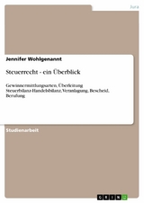 Steuerrecht - ein Überblick -  Jennifer Wohlgenannt