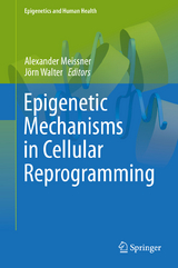 Epigenetic Mechanisms in Cellular Reprogramming - 