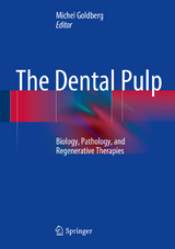 The Dental Pulp - 