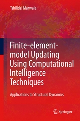 Finite Element Model Updating Using Computational Intelligence Techniques -  Tshilidzi Marwala