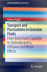 Transport and Fluctuations in Granular Fluids - Andrea Puglisi