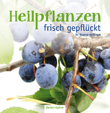 Heilpflanzen frisch gepflückt - Yvonne Höflinger