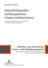 Jahresabschlussanalyse und Bilanzpolitik von Schaden-/Unfallversicherern - Benjamin Asche