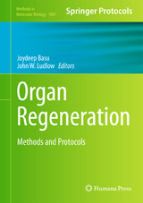 Organ Regeneration - 