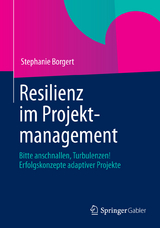 Resilienz im Projektmanagement - Stephanie Borgert