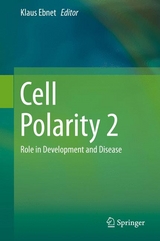 Cell Polarity 2 - 