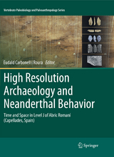 High Resolution Archaeology and Neanderthal Behavior - 