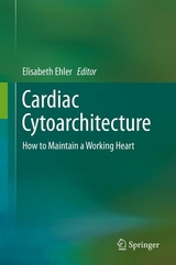 Cardiac Cytoarchitecture - 