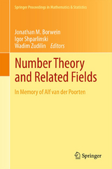 Number Theory and Related Fields - 