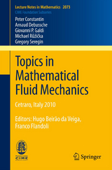 Topics in Mathematical Fluid Mechanics - Peter Constantin, Arnaud Debussche, Giovanni P. Galdi, Michael Růžička, Gregory Seregin