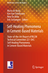 Self-Healing Phenomena in Cement-Based Materials - 