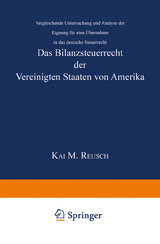 Das Bilanzsteuerrecht der Vereinigten Staaten von Amerika - Kai M. Reusch