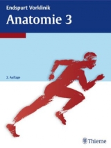 Endspurt Vorklinik: Anatomie 3