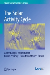 The Solar Activity Cycle - 