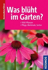 Was blüht im Garten? - Throll, Angelika