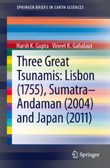 Three Great Tsunamis: Lisbon (1755), Sumatra-Andaman (2004) and Japan (2011) - Harsh K. Gupta, Vineet K. Gahalaut