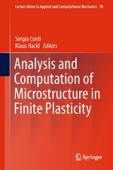 Analysis and Computation of Microstructure in Finite Plasticity - 