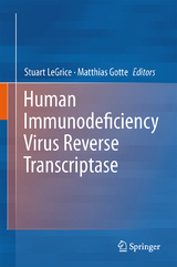 Human Immunodeficiency Virus Reverse Transcriptase - 