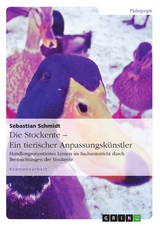 Die Stockente – ein tierischer Anpassungskünstler - Sebastian Schmidt