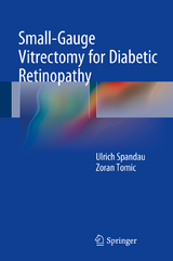 Small-Gauge Vitrectomy for Diabetic Retinopathy - Ulrich Spandau