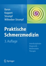 Praktische Schmerzmedizin - Baron, Ralf; Koppert, Wolfgang; Strumpf, Michael; Willweber-Strumpf, Anne