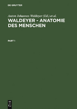 Waldeyer – Anatomie des Menschen - 