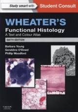 Wheater's Functional Histology - Young, Barbara; O'Dowd, Geraldine; Woodford, Phillip