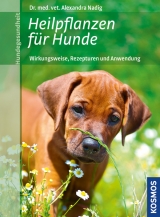 Heilpflanzen für Hunde - Alexandra Nadig