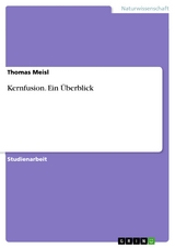 Kernfusion. Ein Überblick - Thomas Meisl